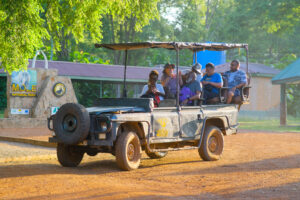 Mole national park safari Ghana 